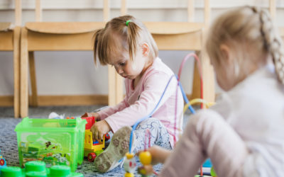 Emocinio intelekto ugdymas, įgūdžių formavimas ir valdymas