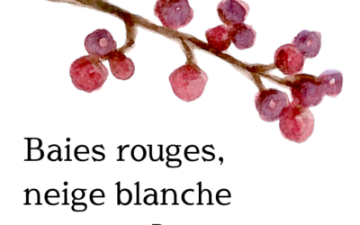 Baies rouges, neige blanche